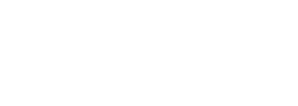 Intelinet Incorporated